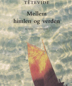 Mellem himlen og verden (E-bog)