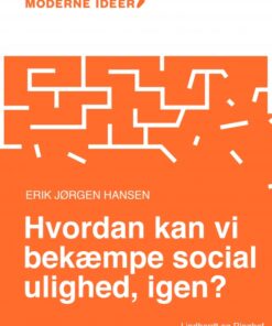Moderne Idéer: Hvordan kan vi bekæmpe social ulighed, igen? (Lydbog)
