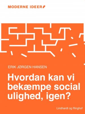 Moderne Idéer: Hvordan kan vi bekæmpe social ulighed, igen? (Lydbog)