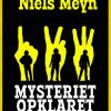 Mysteriet opklaret (E-bog)