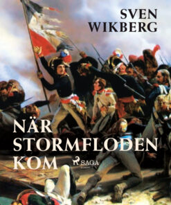 När stormfloden kom (E-bog)