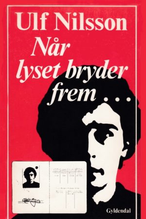 Når lyset bryder frem... (E-bog)