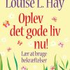 Oplev det gode liv nu! (Lydbog)