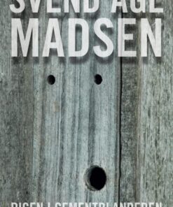 Pigen i cementblanderen (E-bog)