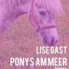 Ponys am Meer (E-bog)