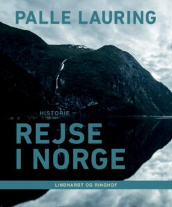 Rejse i Norge (E-bog)