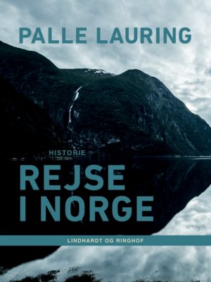 Rejse i Norge (E-bog)