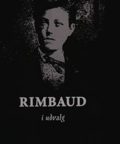 Rimbaud I Udvalg - Arthur Rimbaud - Bog
