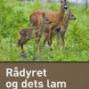 Rådyret og dets lam (E-bog)