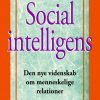 Social intelligens (E-bog)