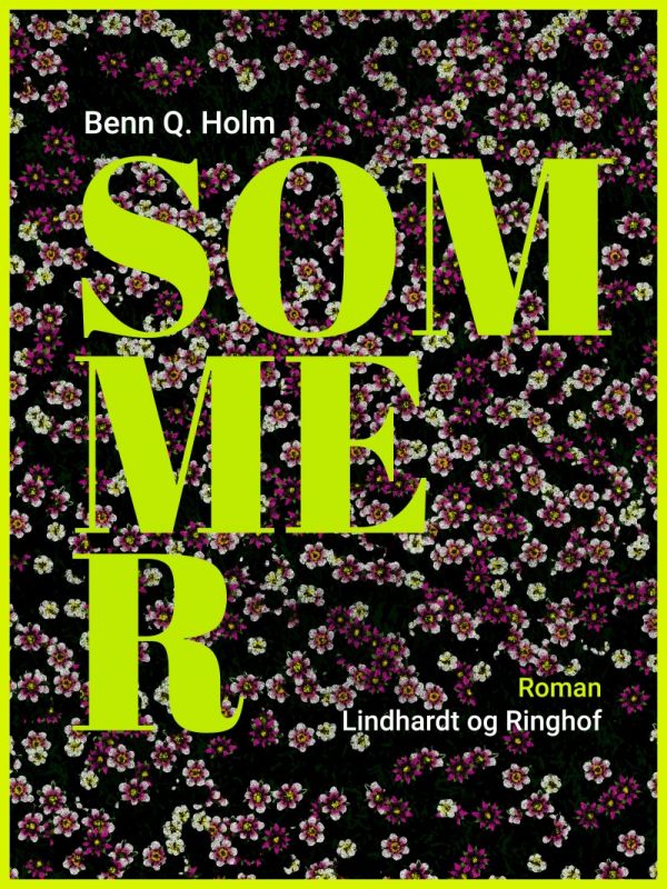 Sommer - Benn Q. Holm - Bog