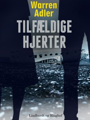 Tilfældige hjerter (E-bog)