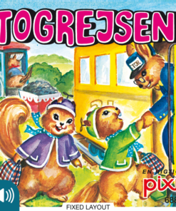 Togrejsen (E-bog)