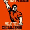 Veje til socialismen i vor tid (E-bog)
