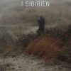 Vi Vågner I Sibirien - Martin Paludan - Bog