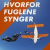 Vi ved hvorfor fuglene synger (E-bog)