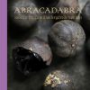 Abracadabra (E-bog)