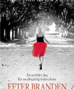Efter branden (E-bog)
