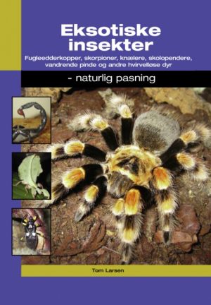 Eksotiske insekter (E-bog)