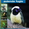 Frugt- og insektædende fugle (E-bog)
