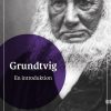 Grundtvig (Bog)