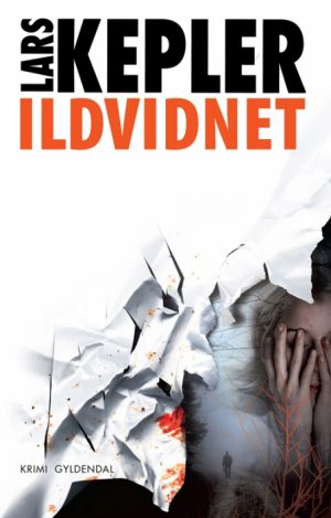 Ildvidnet (Bog)