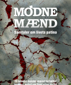 Modne Mænd (E-bog)