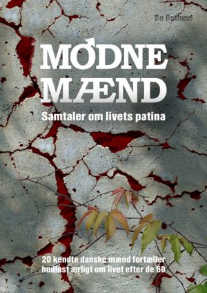 Modne Mænd (E-bog)