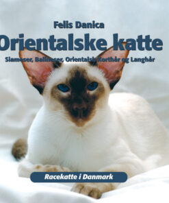 Orientalske katte (E-bog)