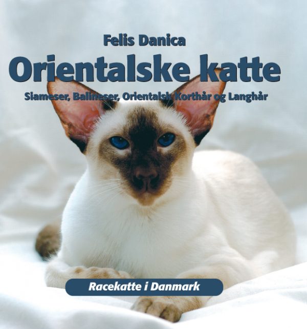 Orientalske katte (E-bog)