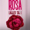 Rosa lägger sig i (E-bog)