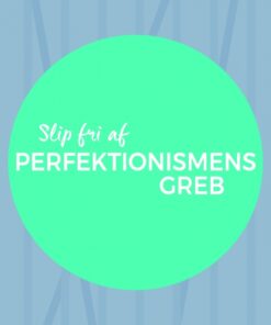 Slip fri af perfektionismens greb (E-bog)