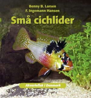 Små cichlider (E-bog)