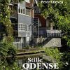 Stille Odense - Peter Olesen - Bog
