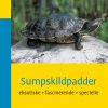 Sumpskildpadder (E-bog)