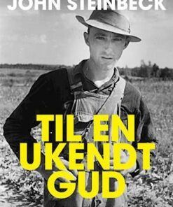Til en ukendt gud