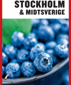 Turen Går Til Stockholm & Midtsverige (E-bog)