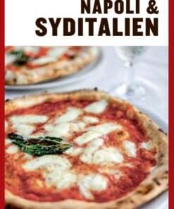 Turen går til Napoli & Syditalien (E-bog)
