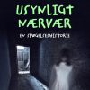 Usynligt nærvær. En spøgelseshistorie (E-bog)