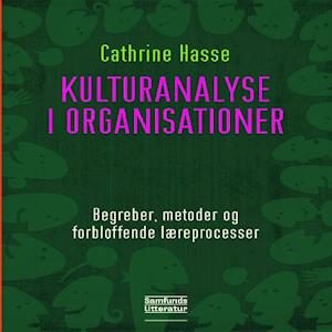 Kulturanalyse i organisationer