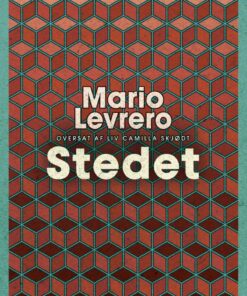 Stedet - Mario Levrero - Bog