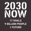 2030 Now - Susanne Sayers - Bog