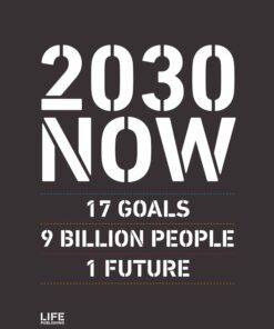 2030 Now - Susanne Sayers - Bog