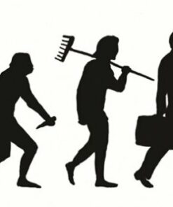 Baade-og. Mandag, Tirsdag, Onsdag, Torsdag, Fredag - Lene Andersen - Bog