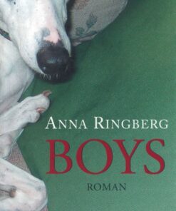 Boys (E-bog)