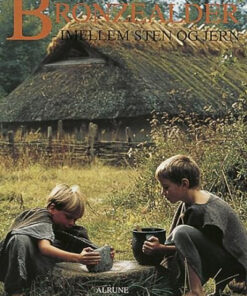 Bronzealder, Imellem sten og jern (Bog)