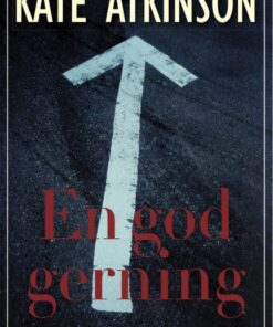 En god gerning (E-bog)