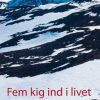 Fem Kig Ind I Livet - Hans Rosenfalck - Bog