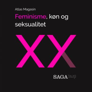 Feminisme, køn og seksualitet (E-bog)