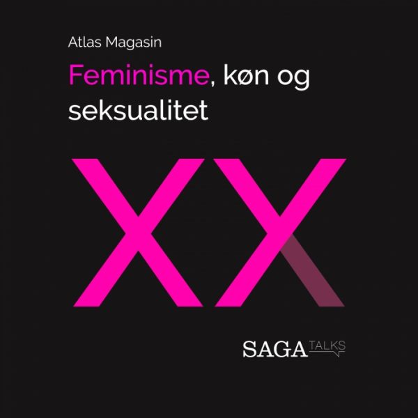 Feminisme, køn og seksualitet (E-bog)